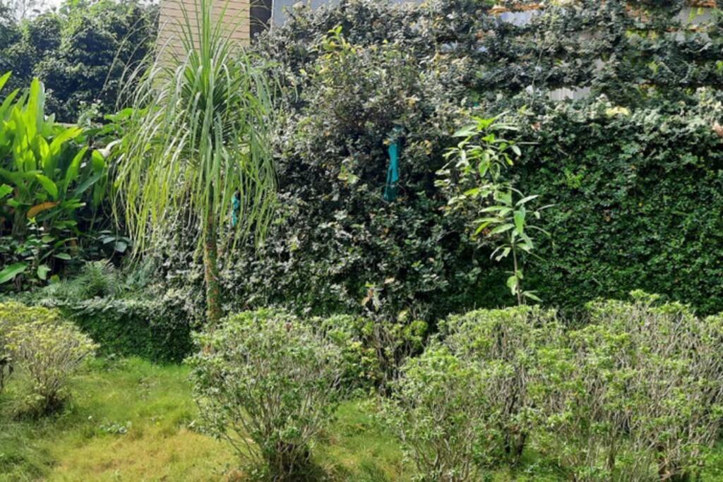Karjat Villa エクステリア 写真