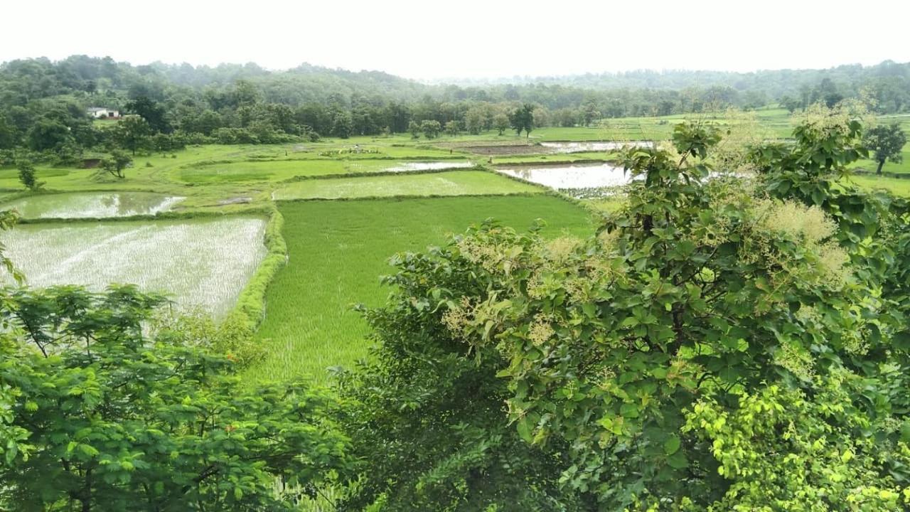 Karjat Villa エクステリア 写真