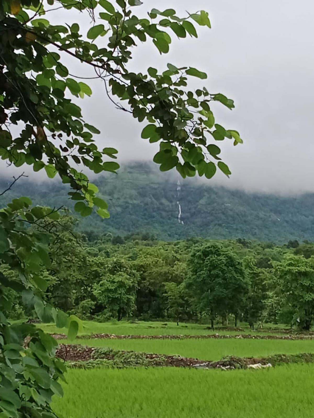 Karjat Villa エクステリア 写真
